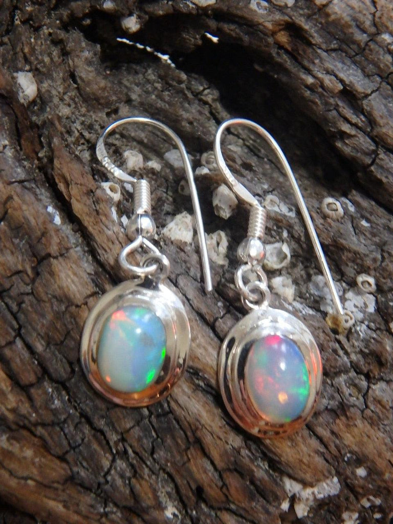Lovely Flashes of Color Ethiopian Opal Earrings In Sterling Silver - Earth Family Crystals