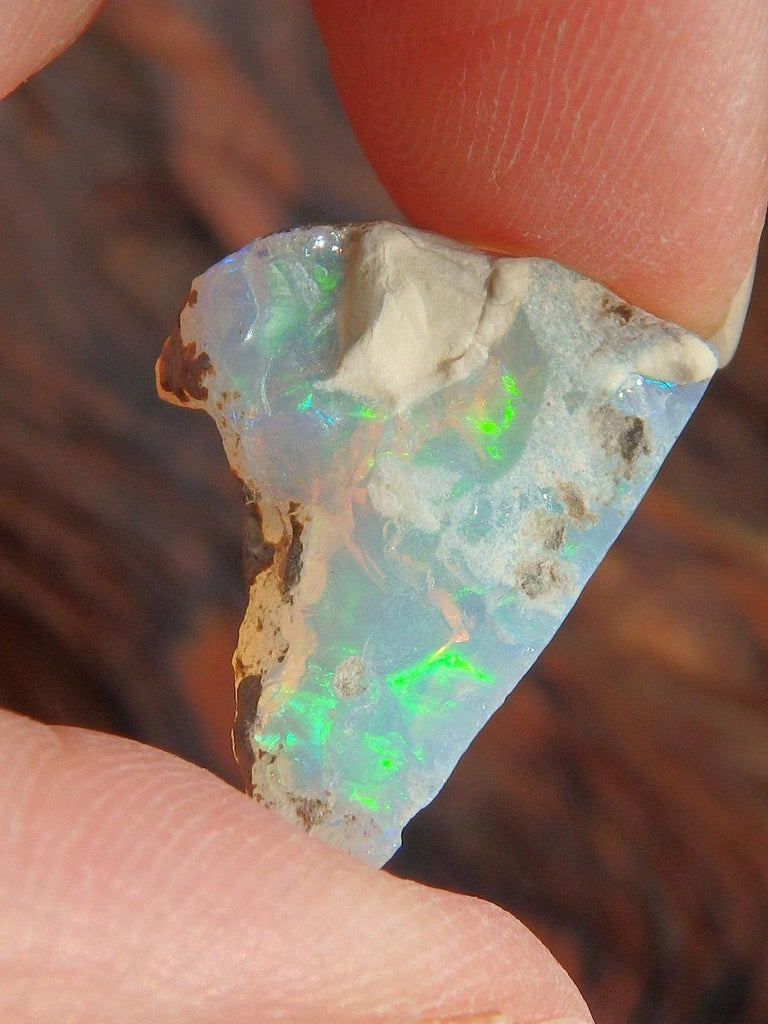 Layers of Blue Green Flash Raw Ethiopian Opal Collectors Specimen 1 - Earth Family Crystals