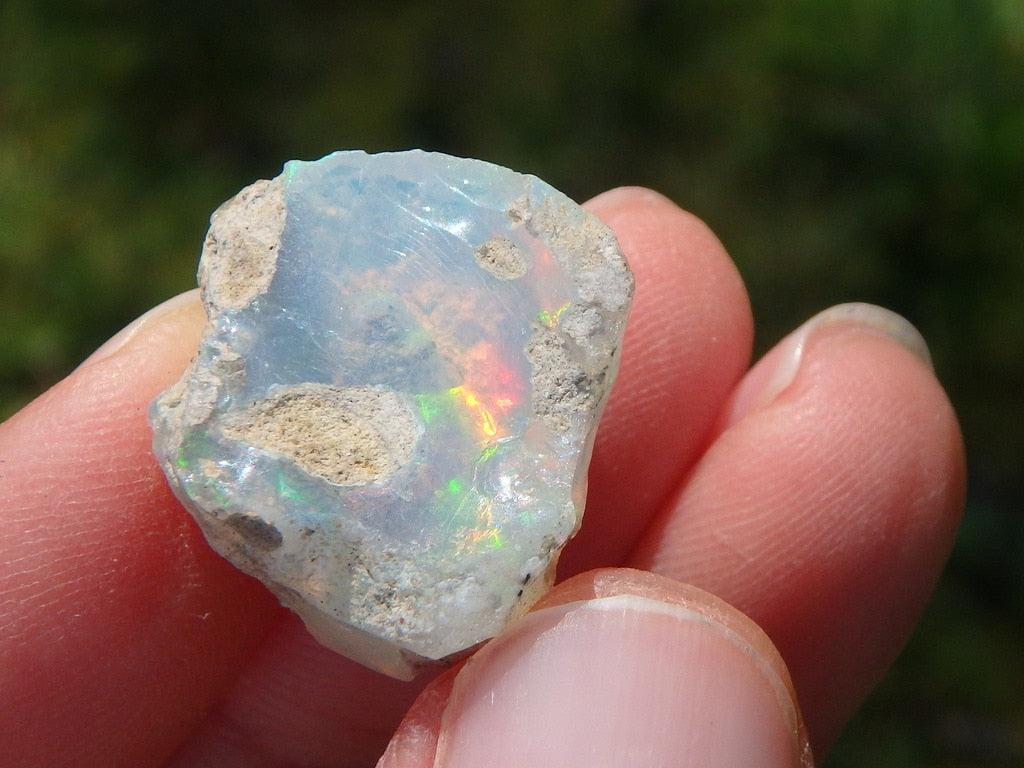 Pretty Flashes! Ethiopian Opal Specimen 3 - Earth Family Crystals