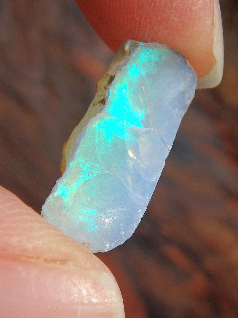 Layers of Blue Green Flash Raw Ethiopian Opal Collectors Specimen 1 - Earth Family Crystals