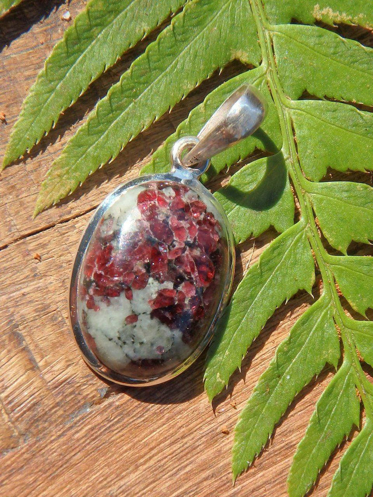 Deep Burgundy Eudialyte Pendant in Sterling Silver (Includes Silver Chain) - Earth Family Crystals