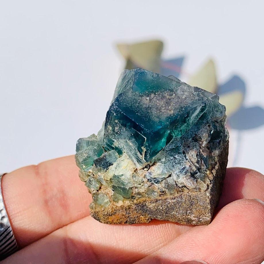 Famous Locality~Rogerley Mine  Fluorite Cluster From Frosterley, England #4 - Earth Family Crystals