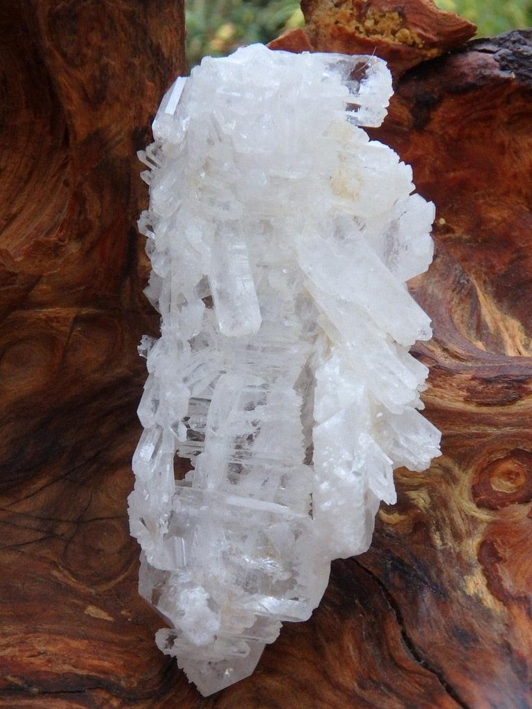 Fantastic Lacy Faden Quartz Specimen - Earth Family Crystals
