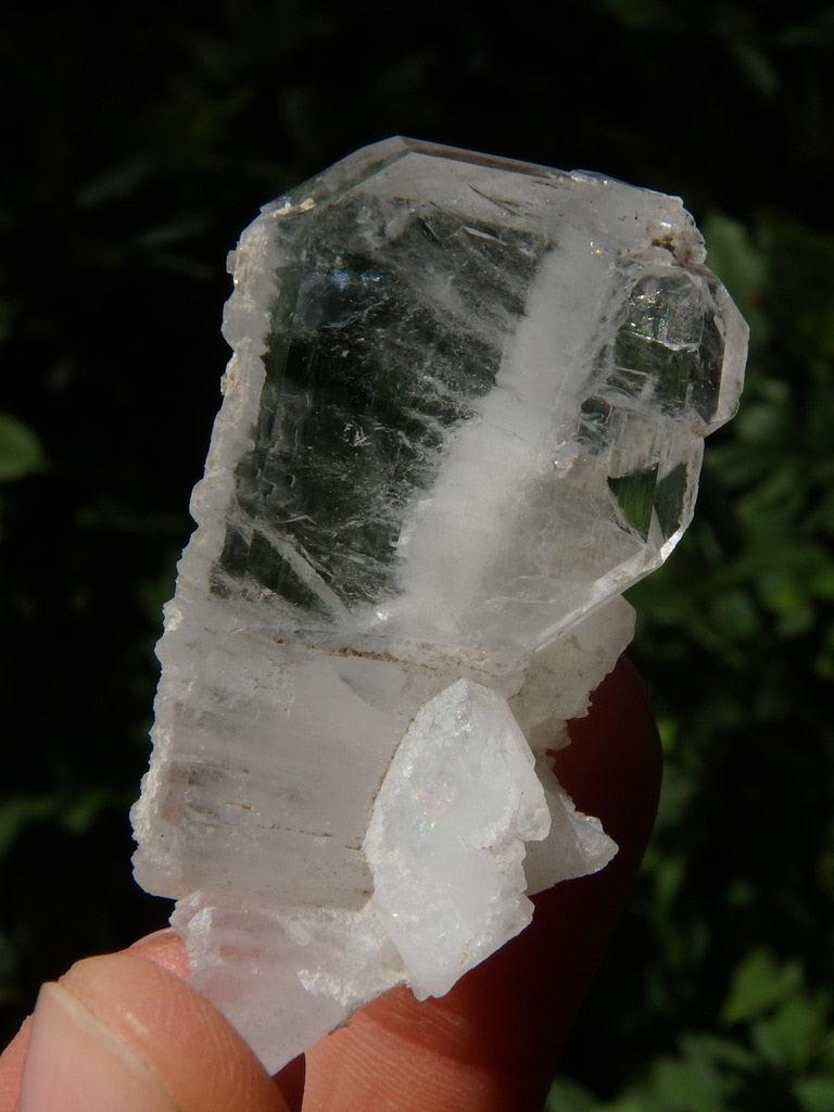 Wonderful Faden Quartz Specimen - Earth Family Crystals