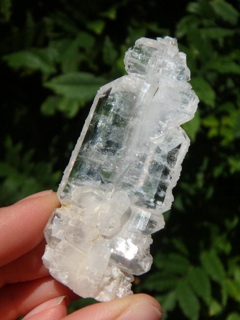 Incredible Healing Clear Faden Quartz Specimen - Earth Family Crystals