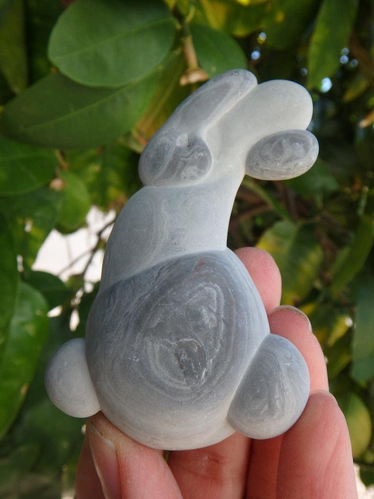 One Of a Kind Fairy Stone Concretion Specimen From Quebec, Canada 1 - Earth Family Crystals