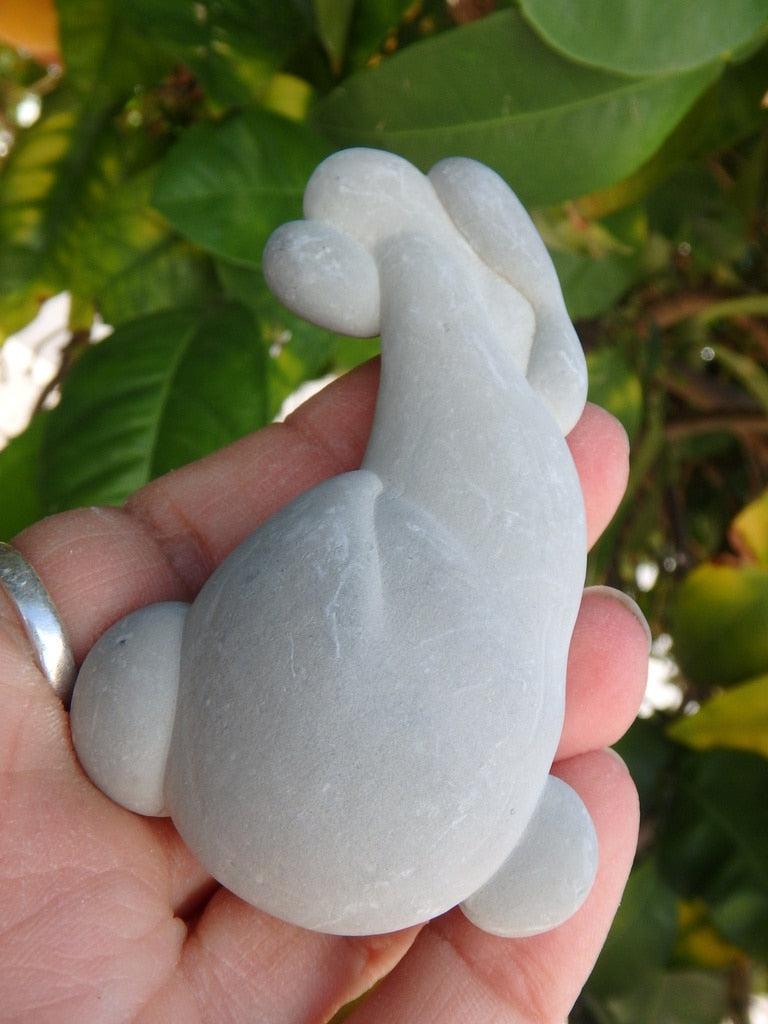 One Of a Kind Fairy Stone Concretion Specimen From Quebec, Canada 1 - Earth Family Crystals