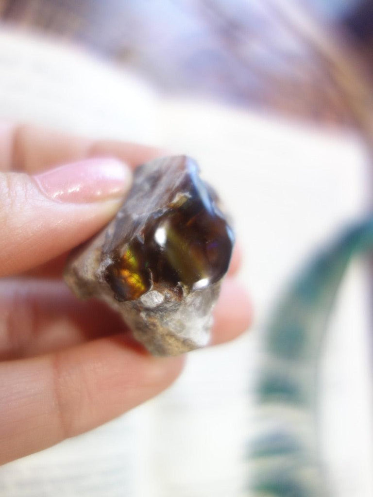 Pretty Flashes Mexican Fire Agate Specimen - Earth Family Crystals
