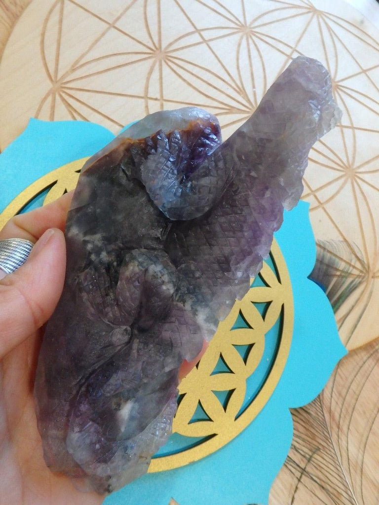 Incredible Detail! Large Rainbow Fluorite Iguana Self Standing Carving - Earth Family Crystals