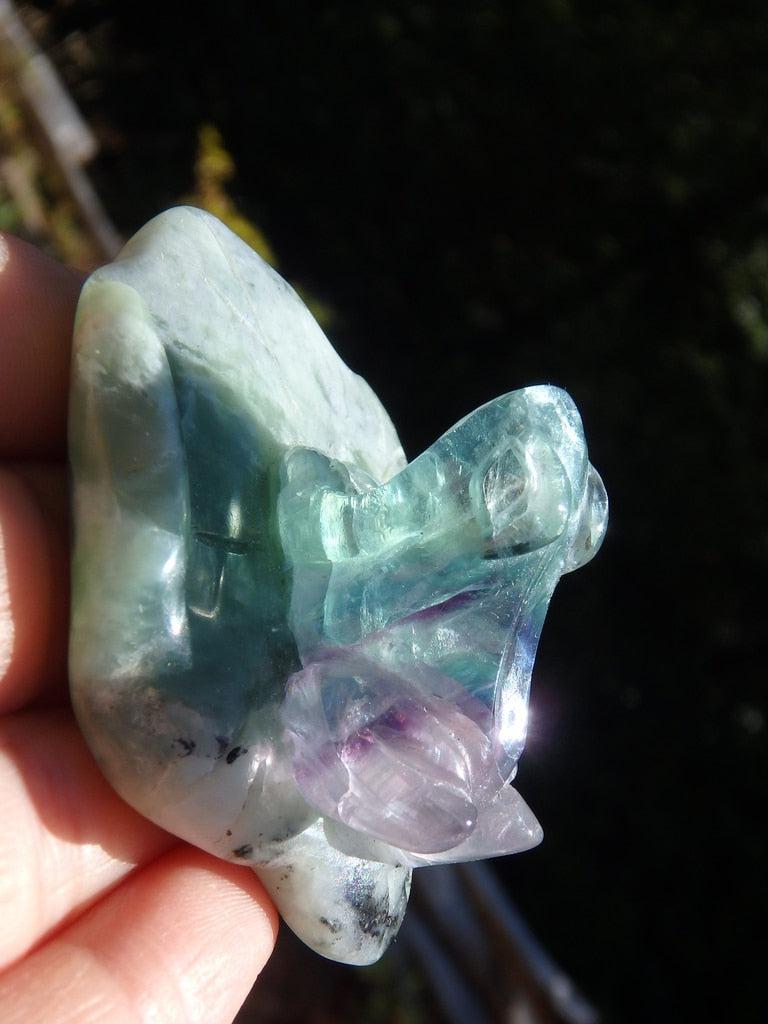 Friendly Rainbow Fluorite Frog on Mint Jade Lily Pad - Earth Family Crystals