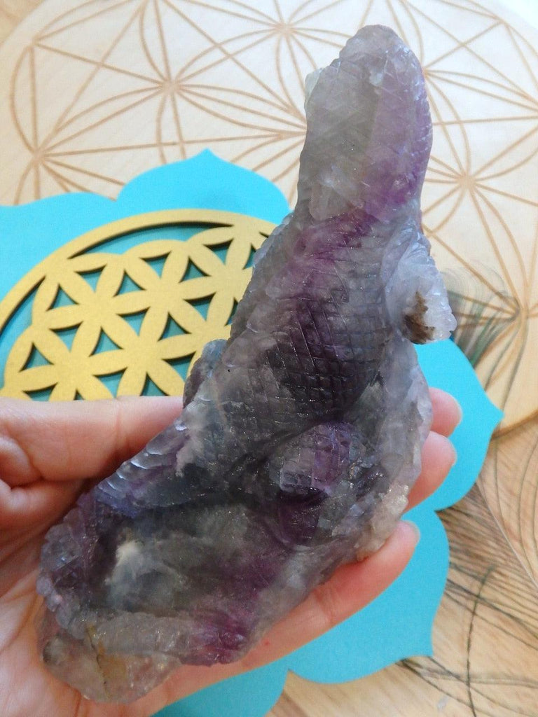 Incredible Detail! Large Rainbow Fluorite Iguana Self Standing Carving - Earth Family Crystals