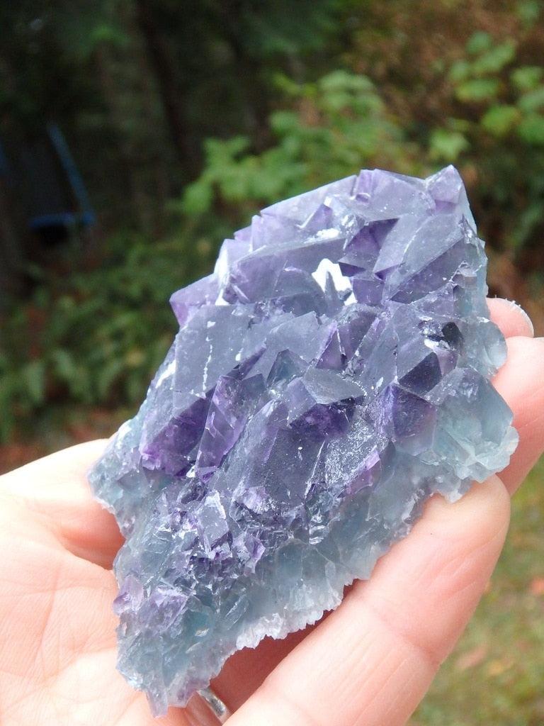 Raw & Natural Aqua Blue & Deep Purple Fluorite Specimen - Earth Family Crystals