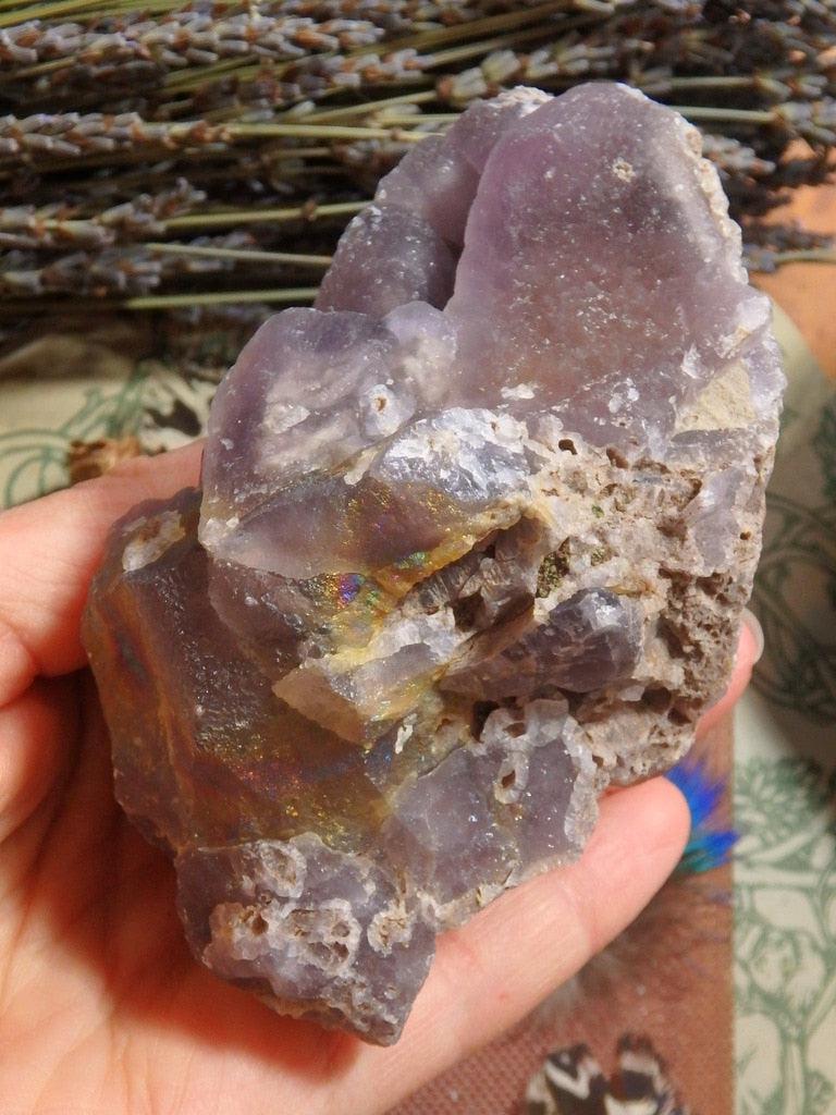 Iridescent Rainbow Fluorite Specimen From Small Fry Mine, NM - Earth Family Crystals