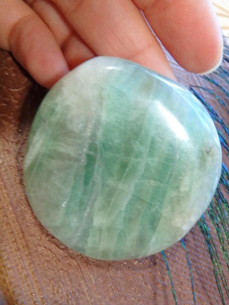 Vibrant Green Fluorite Hand Held Specimen - Earth Family Crystals