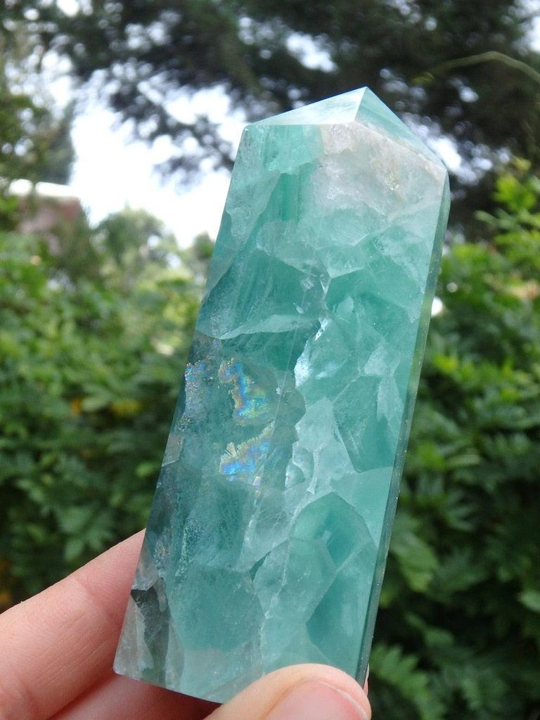 Vibrant Jelly Green Polished Fluorite Generator - Earth Family Crystals