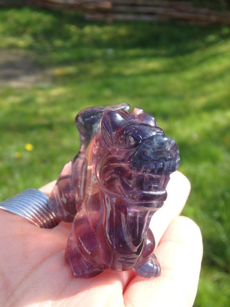 Wonderful Rainbow Fluorite Dragon Carving - Earth Family Crystals