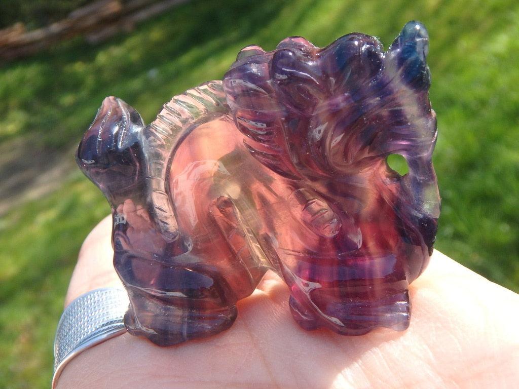Wonderful Rainbow Fluorite Dragon Carving - Earth Family Crystals