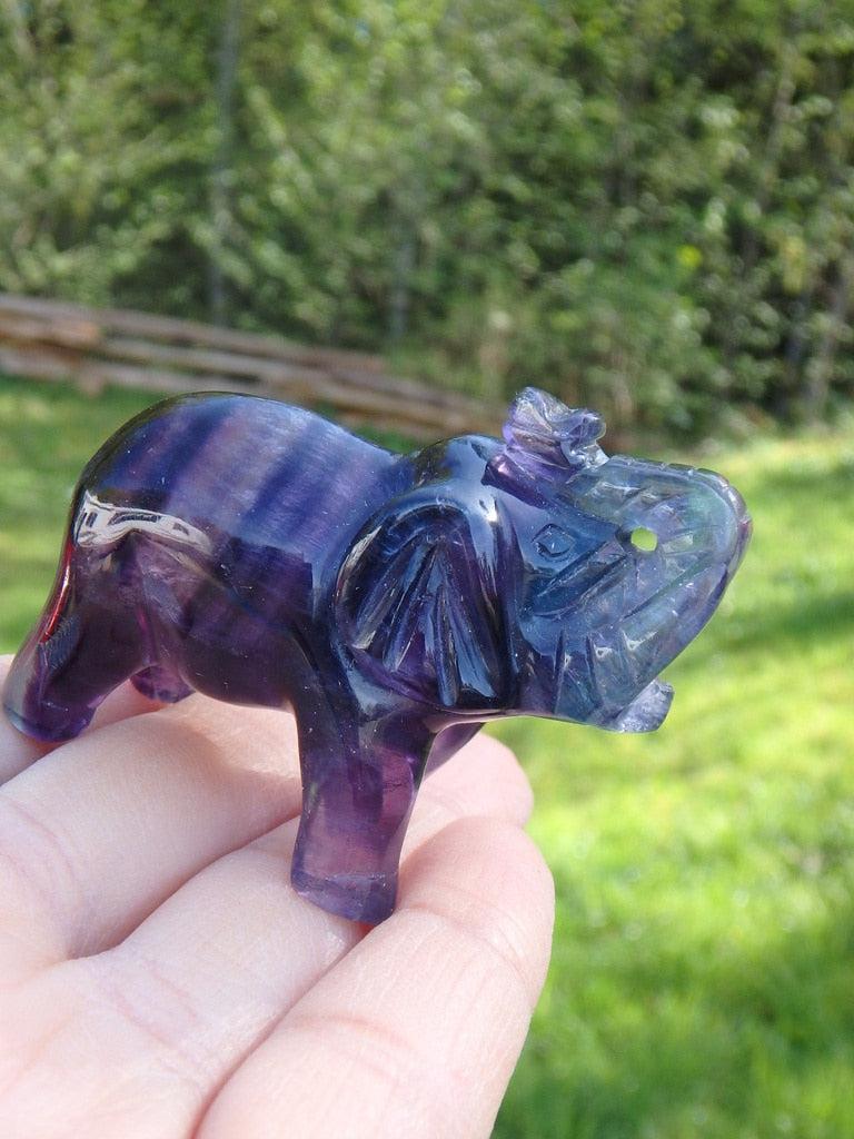 Precious Rainbow Fluorite Elephant Carving - Earth Family Crystals