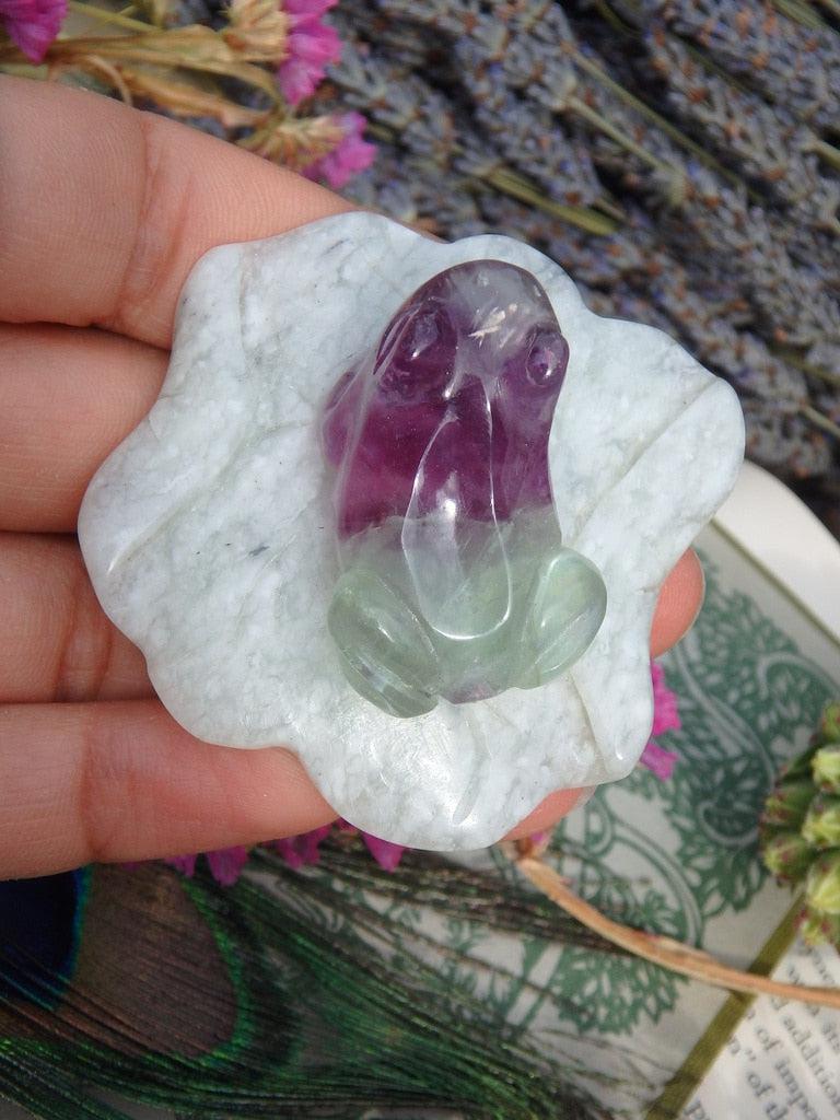 Purple & Green Fluorite Frog Laying On Mint Green Jade Lily Pad - Earth Family Crystals