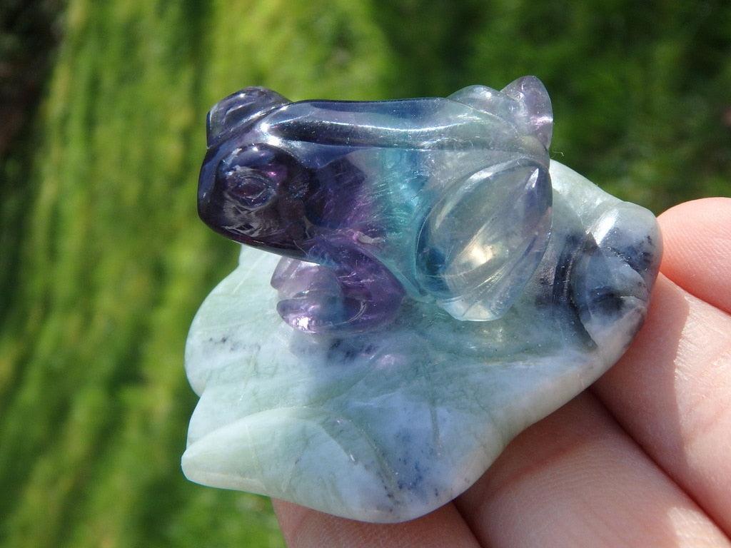Precious Fluorite Frog on Jade Lily Pad Carving - Earth Family Crystals
