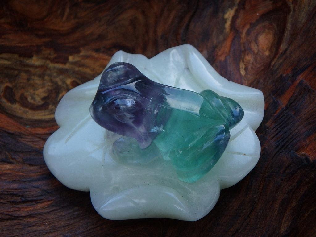 Vibrant Green & Purple Fluorite Frog on Soft Green Jade Lily Pad - Earth Family Crystals