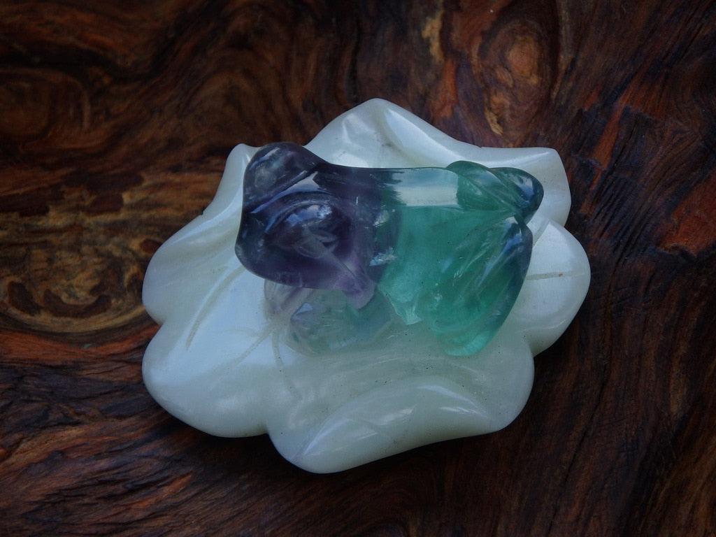 Vibrant Green & Purple Fluorite Frog on Soft Green Jade Lily Pad - Earth Family Crystals