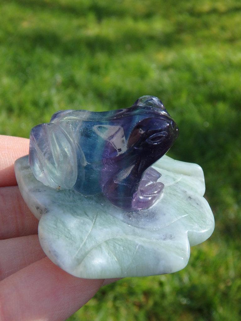Precious Fluorite Frog on Jade Lily Pad Carving - Earth Family Crystals