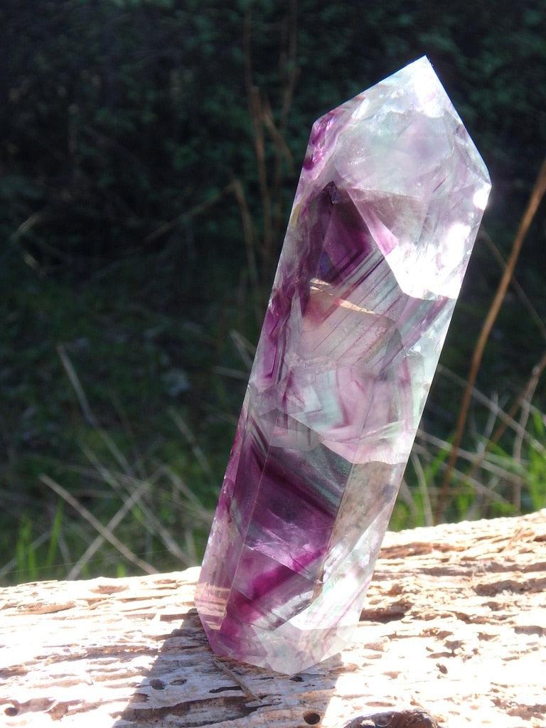 Vibrant Light Filled Rainbow Fluorite Tower - Earth Family Crystals