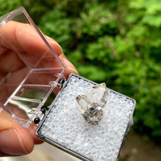 Brilliant Clarity New York Herkimer Diamond Quartz Specimen in Collectors Box #2 - Earth Family Crystals