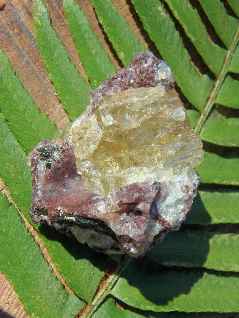 Golden Apatite Chunk From Mexico - Earth Family Crystals