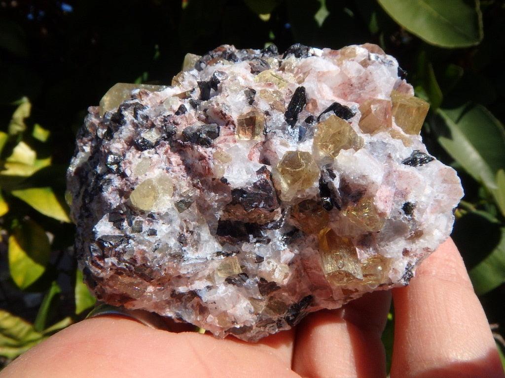 Gorgeous Gemmy Golden Apatite Loaded Specimen - Earth Family Crystals