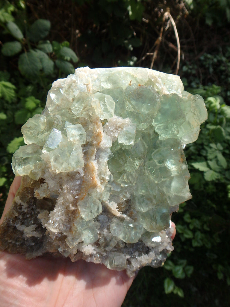 Incredible Brilliance~ Large Green Fluorite With Mini Quartz Points on Matrix Display Specimen - Earth Family Crystals