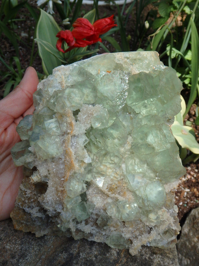 Incredible Brilliance~ Large Green Fluorite With Mini Quartz Points on Matrix Display Specimen - Earth Family Crystals