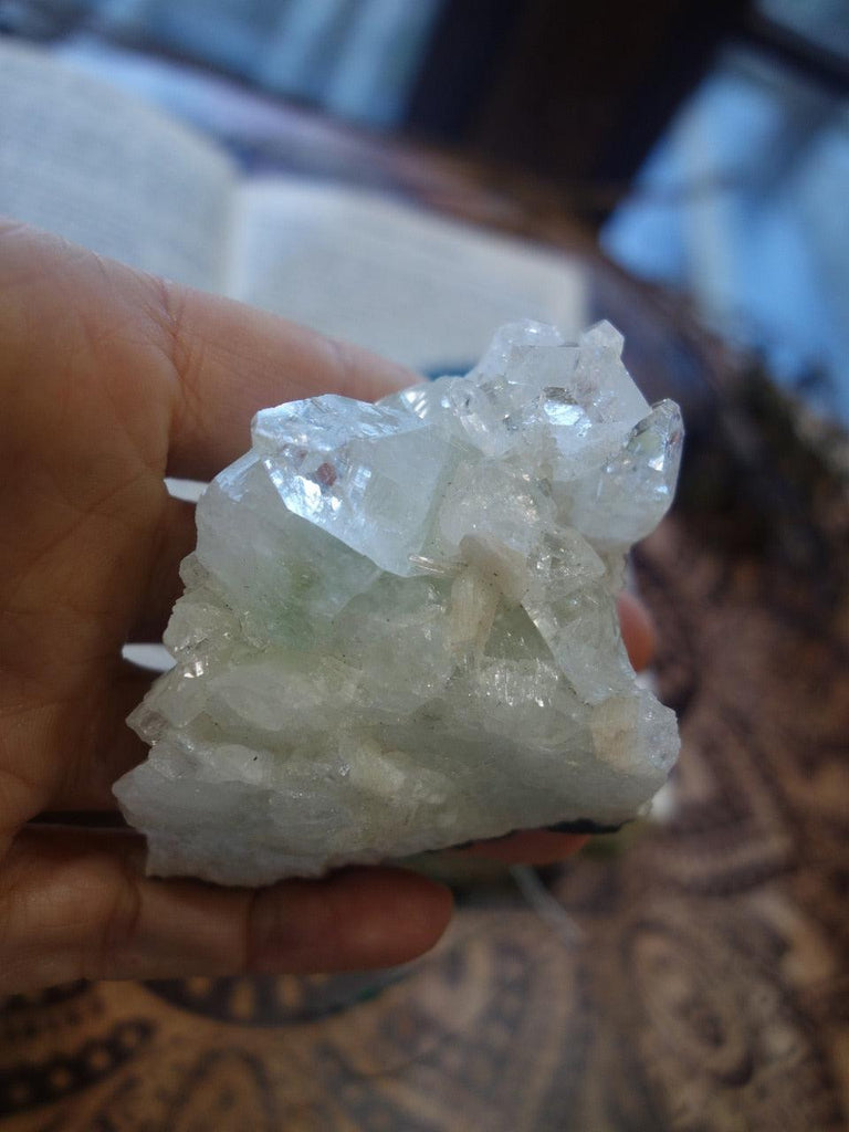 Fantastic Green & Clear Apophyllite Cluster Specimen From India - Earth Family Crystals