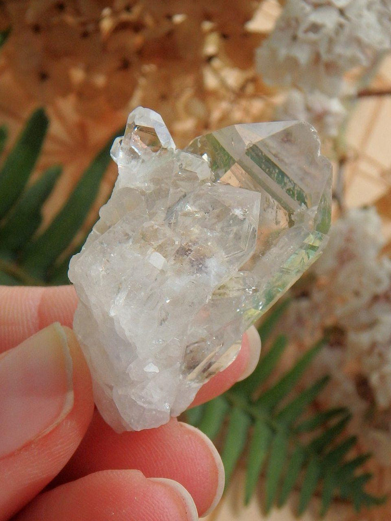 Adorable Green Chlorite Quartz Cluster With Record Keepers From Brazil - Earth Family Crystals