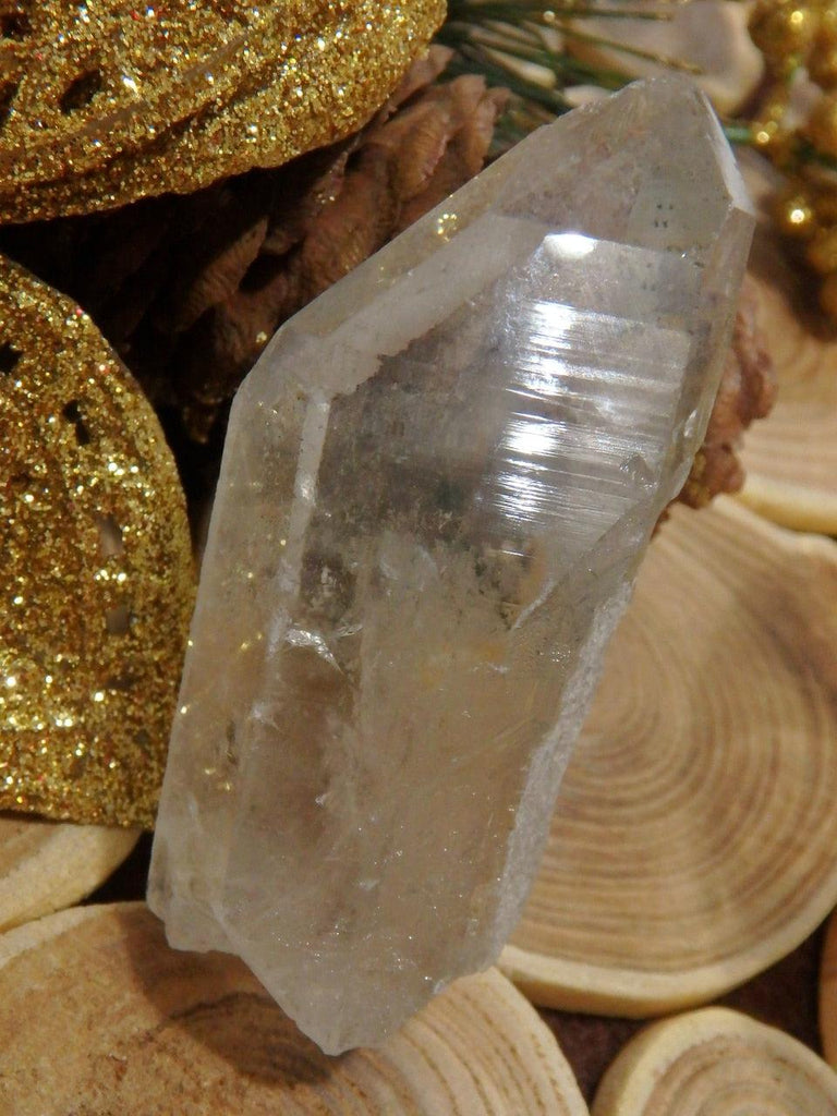 Natural & Unpolished Green Chlorite Included Quartz Point From Brazil 2 - Earth Family Crystals