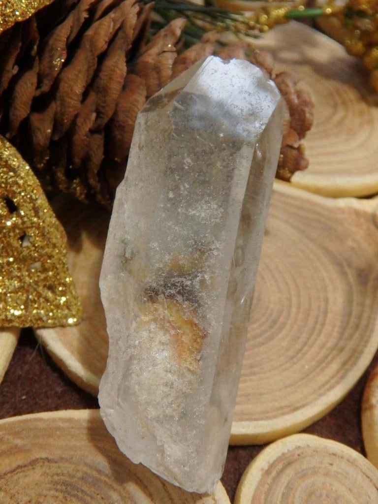 Natural & Unpolished Green Chlorite Included Quartz Point From Brazil 1 - Earth Family Crystals
