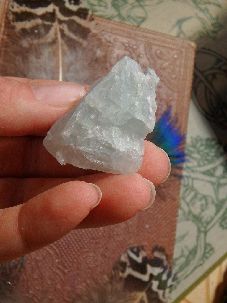 Rare Greenland Green Natrolite Specimen - Earth Family Crystals