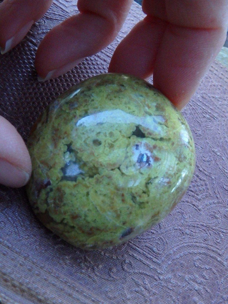 Cute Vibrant Green Opal Palm Stone - Earth Family Crystals