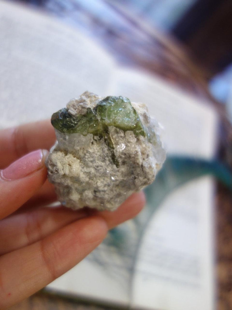 Raw Green Tourmaline Nestled in Mica & Quartz Matrix - Earth Family Crystals