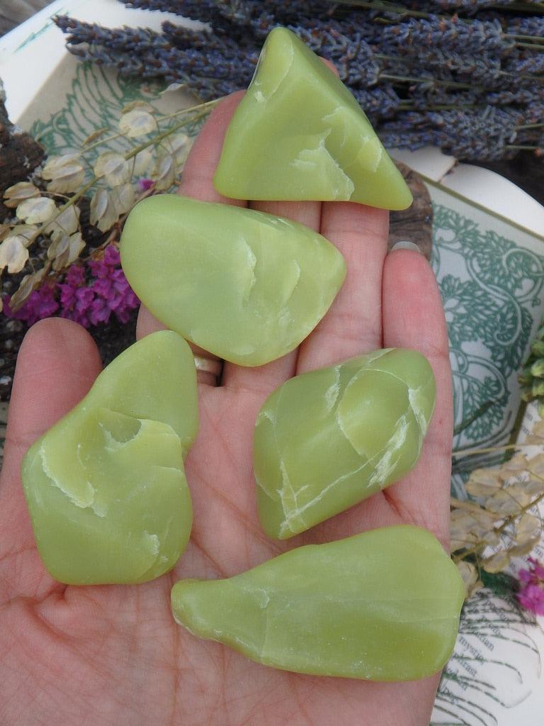 Small Smooth Lime Green Healerite Palm Stones - Earth Family Crystals