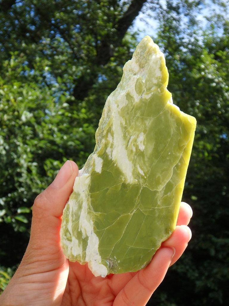 Large Lime Green Healerite (Serpentine) Specimen From Washington - Earth Family Crystals