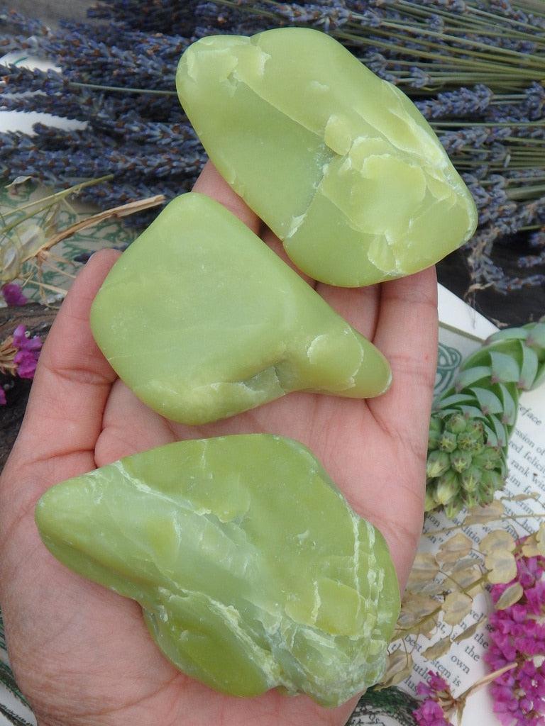 Large Smooth Lime Green Healerite Palm Stones - Earth Family Crystals
