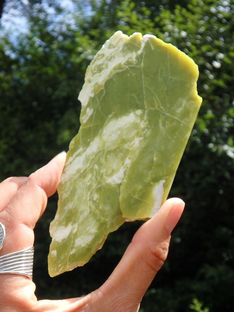 Large Lime Green Healerite (Serpentine) Specimen From Washington - Earth Family Crystals