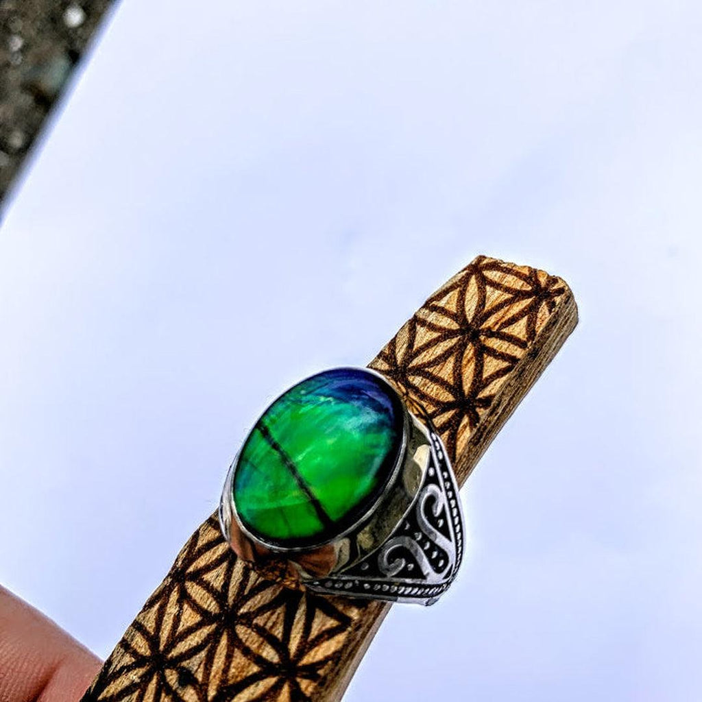 High Grade Quartz Capped Alberta Ammolite Ring in Sterling Silver (Size 11) - Earth Family Crystals