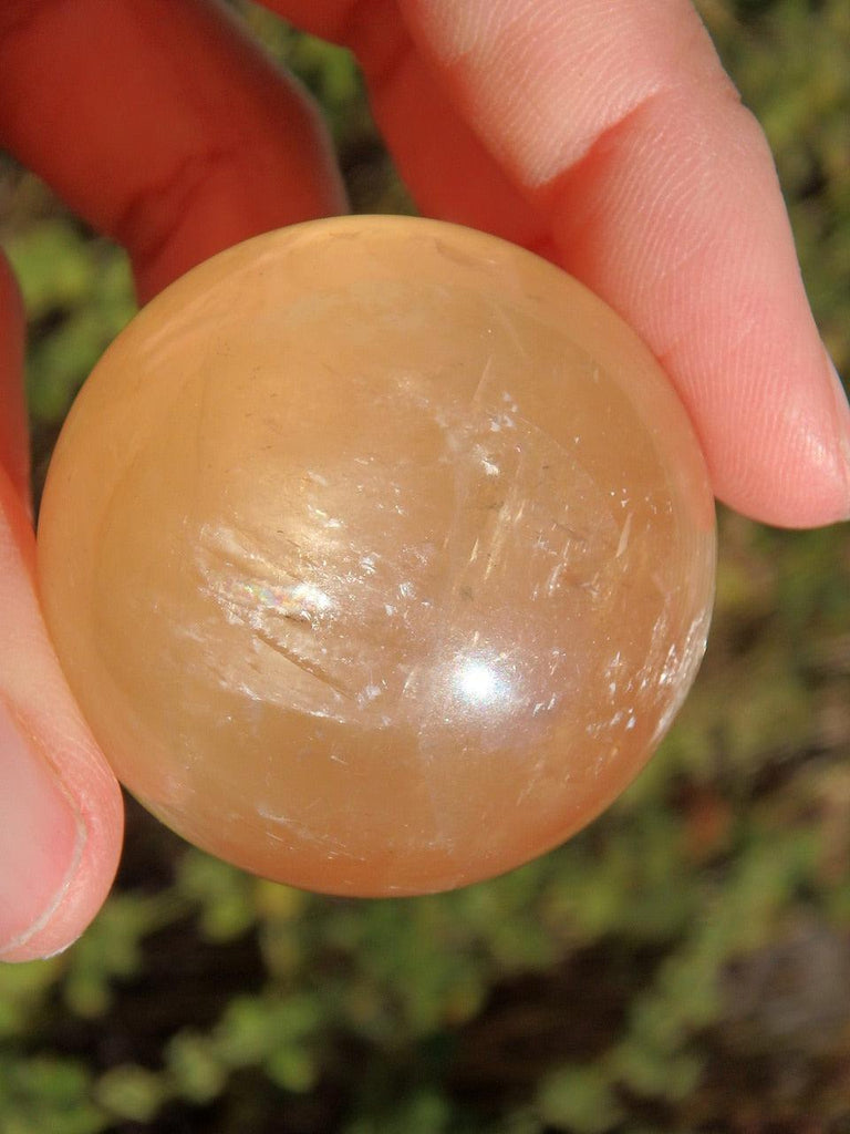 Golden Glow Honey Calcite Sphere 3 - Earth Family Crystals