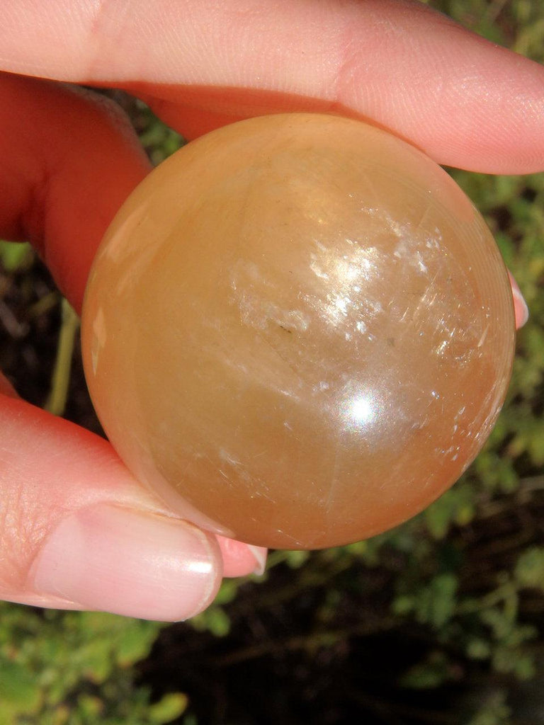Golden Glow Honey Calcite Sphere 3 - Earth Family Crystals
