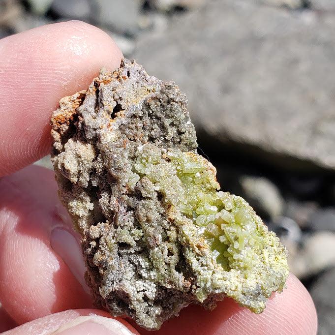 Lime Green Pyromorphite Nestled in Matrix #2 - Earth Family Crystals