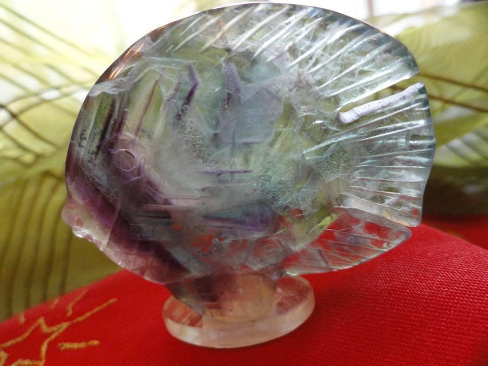 Precious Green & Purple Hand Carved FLUORITE FISH* - Earth Family Crystals