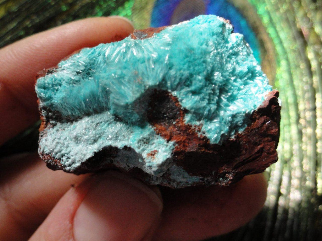 Delicate Fuzzy Blue ROSASITE SPECIMEN* - Earth Family Crystals